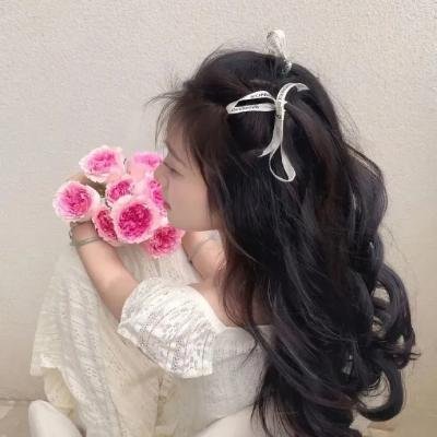 白马之子